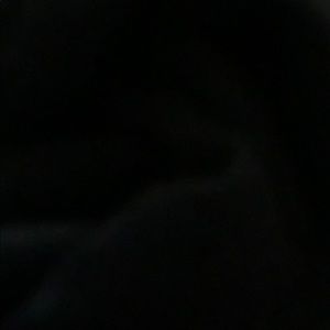 Meet your Posher, Elvis